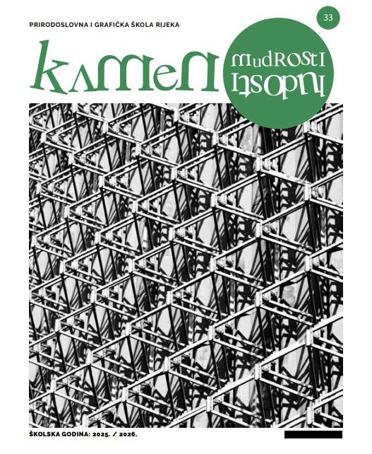 Kamen mudrosti - kamen ludosti