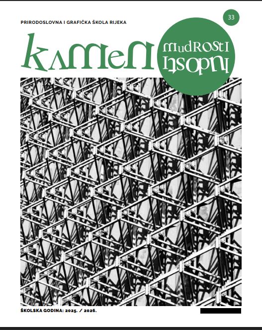 Kamen mudrosti - kamen ludosti